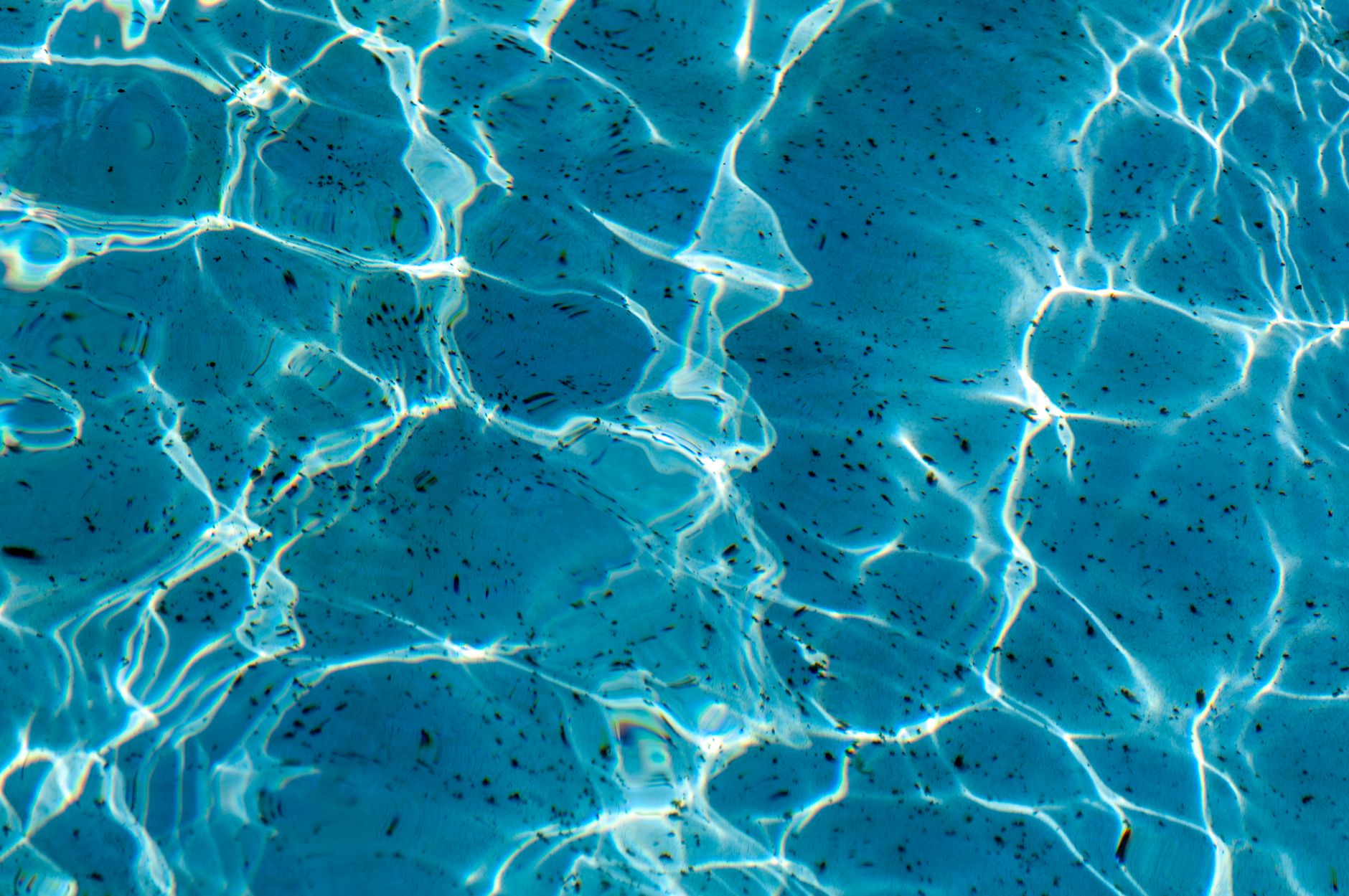 Weekly Pool Service
