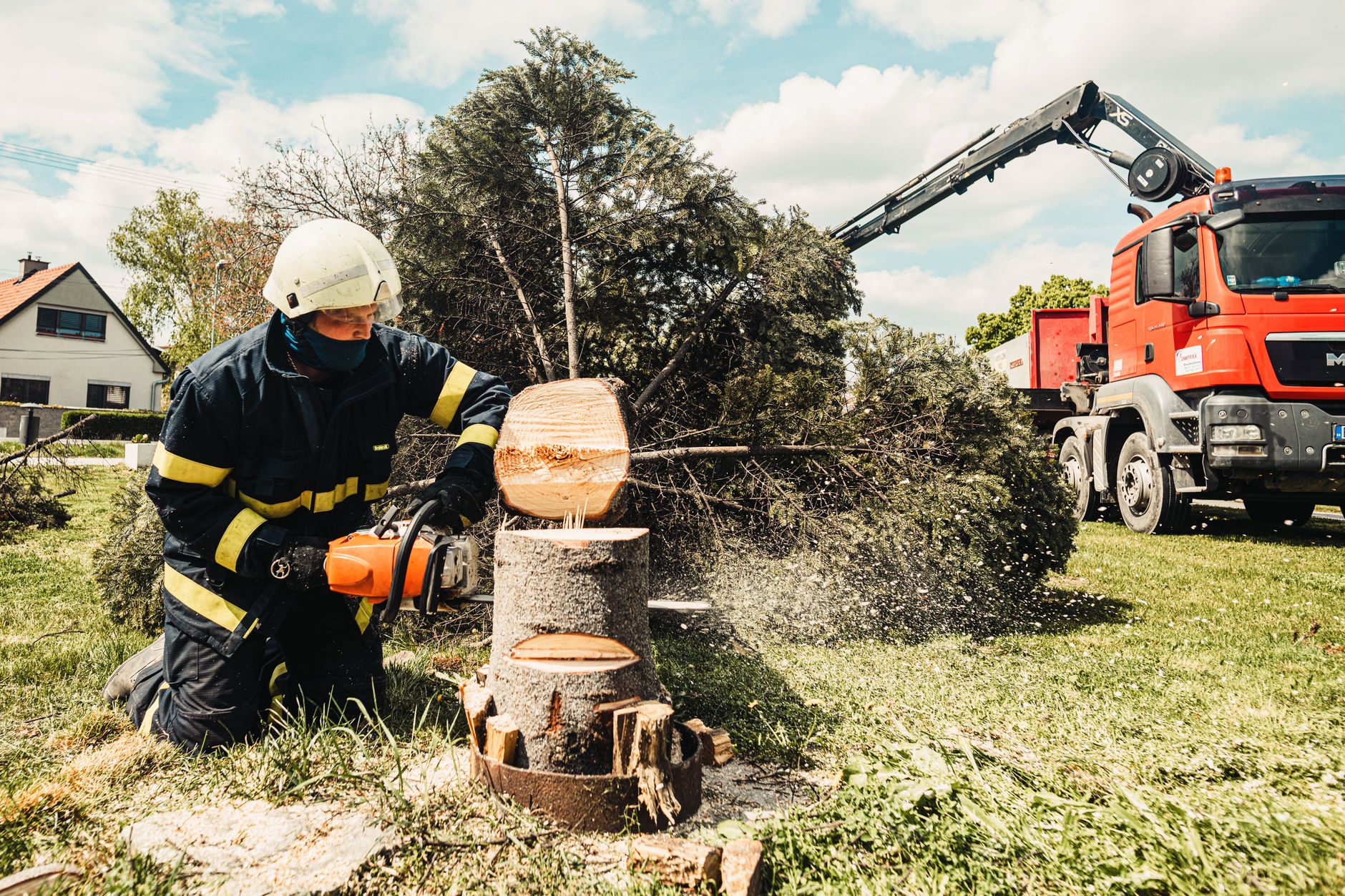 Consulting Arborist Reports